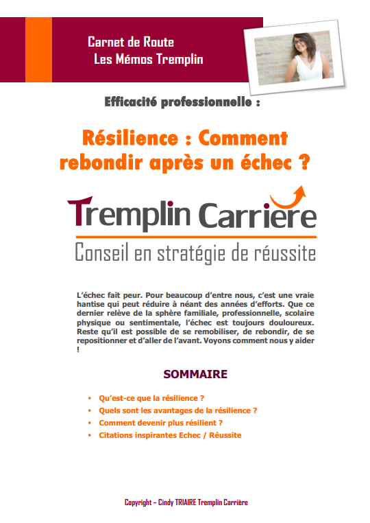 Resilience Comment Rebondir Apres Un Echec Tremplin Carriere