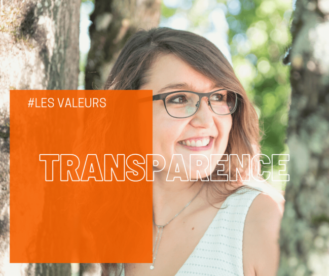 TREMPLIN CARRIERE by Cindy TRIAIRE - Valeurs : Transparence